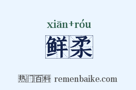 鲜柔是什么意思的图片